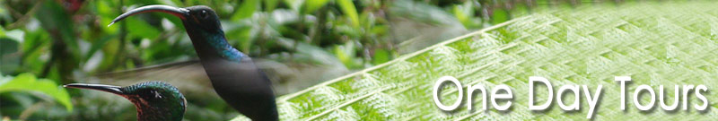 Testimonials Costa Rica