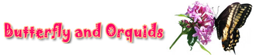 Butterflies & Orchids&reg;