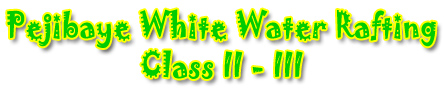 PEJIBAYE WHITE WATER RAFTING CLASS II - III  AZUL TRAVEL TOUR