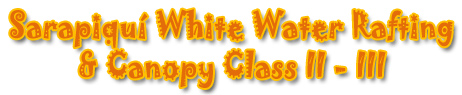 SARAPIQUI WHITE WATER RAFTING AND CANOPY CLASS II - III 