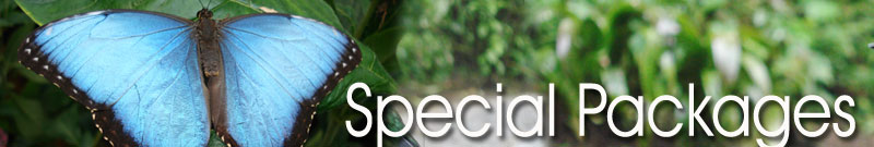 Special Packages tours Costa Rica