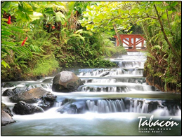 TABACON HOT SPRINGS TOUR