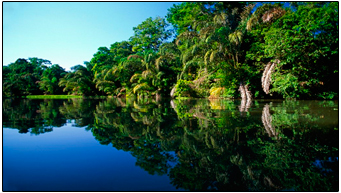 Tortuguero National Park