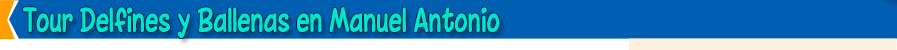 Manuel Antonio DELFINES Y BALLENAS