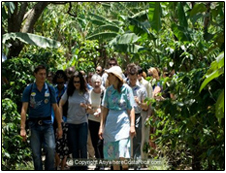 Café Britt’s plantation in Heredia