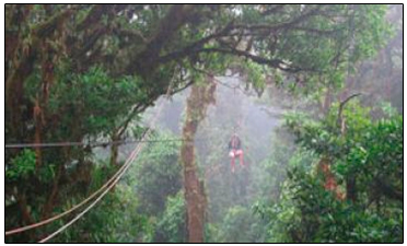 CANOPY TOUR