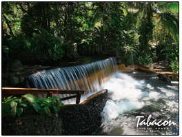 TABACON HOT SPRINGS TOUR