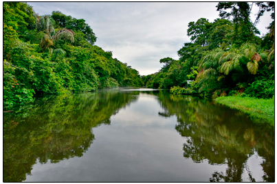 TORTUGUERO COSTA RICA