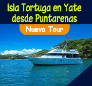 Tour Isla San Lucas